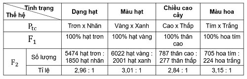 Kết quả thí nghiệm của Mendel